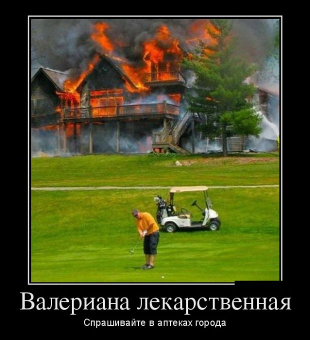 Демотиваторы (30 фото)