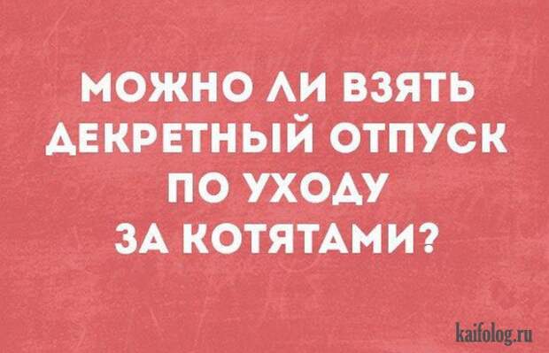 Открытки с приколами (40 картинок) Открытки с приколами (40 картинок)