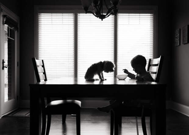 Лучшие фотографии конкурса The B&W Child Photography 2015 Photo Contest