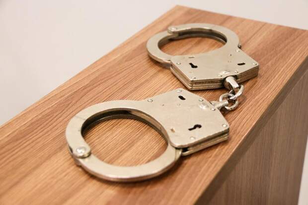 Многодетная мать стала фигуранткой семи уголовных дел