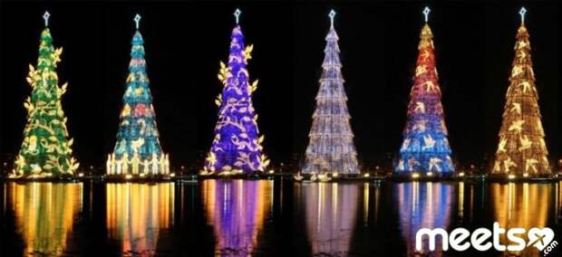 christmas tree, brazil christmas tree