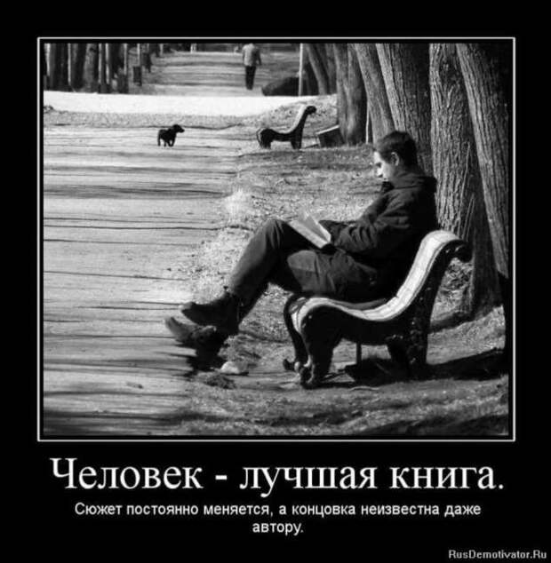 Прикольные демотиваторы с надписями. Подборка chert-poberi-dem-chert-poberi-dem-33130625062020-16 картинка chert-poberi-dem-33130625062020-16