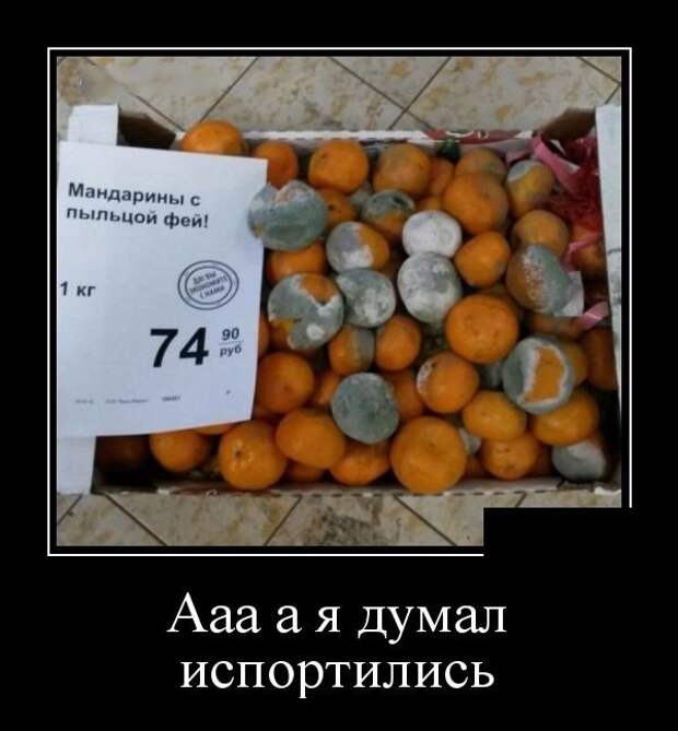 Демотиваторы (06.07.16) Демотиваторы (06.07.16)