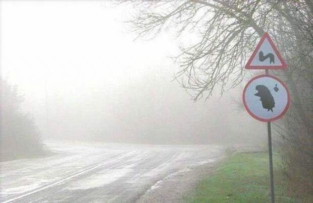 Всё в кучу 7