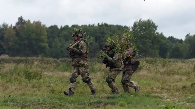 «Поддержка конфликтности»: как ЕС выделяет деньги пострадавшим в Донбассе и готовит военную миссию на Украине
