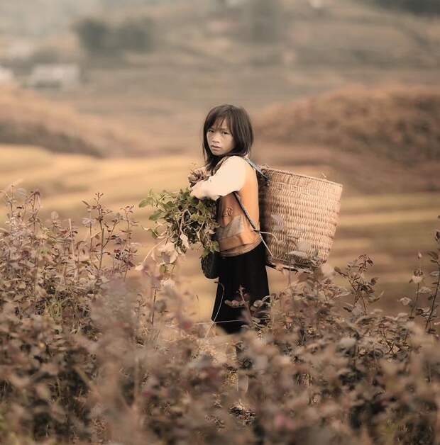 59726_10151449055829775_508391410_n