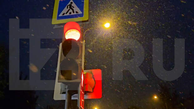 Предвестник «Гуллы»: снег пошел в Москве ночью 7 мая