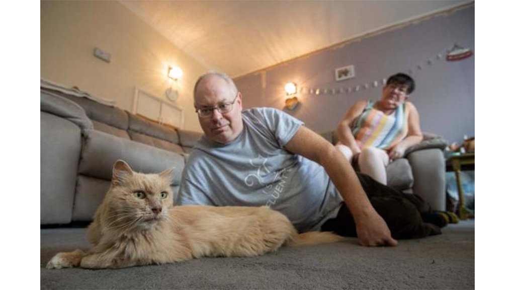 Кот