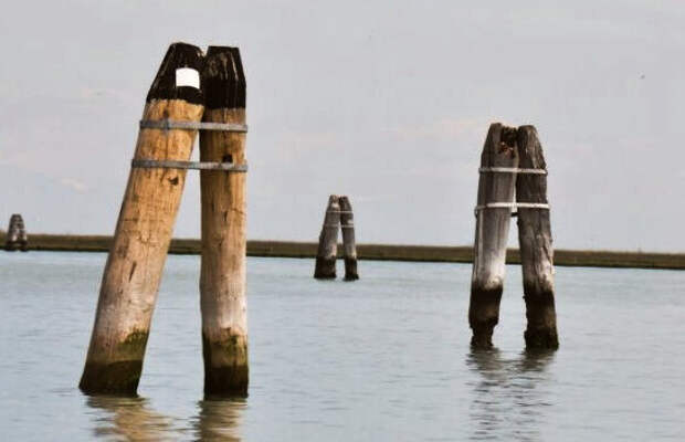 Навигационные указатели, брикколы, в Венецианской лагуне: на правом хорошо видно, что морская вода делает с деревом