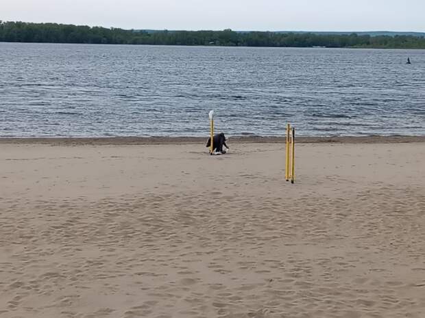 В Сызрани 65-летний мужчина утонул в неустановленном для купания месте