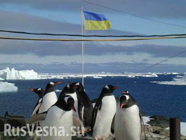 Антарктида це Украина! Киев выдавит Россию с рынка углеводородов (ФОТО, КАРТА) | Русская весна