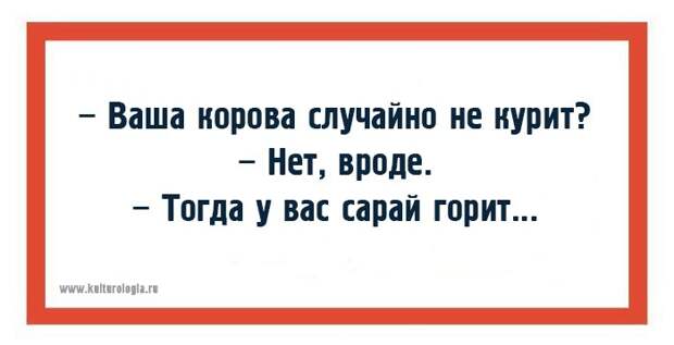 Одесские хохмы для поднятия настроения Одесские хохмы для поднятия настроения