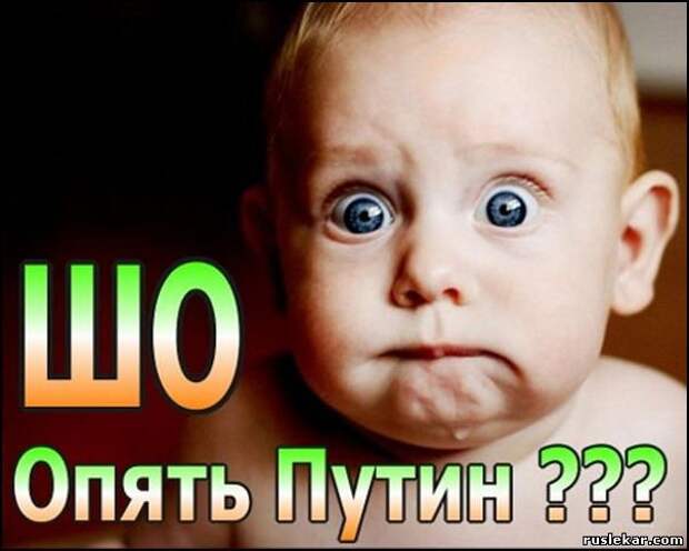 ZO-OPYAT-PTN-.jpg