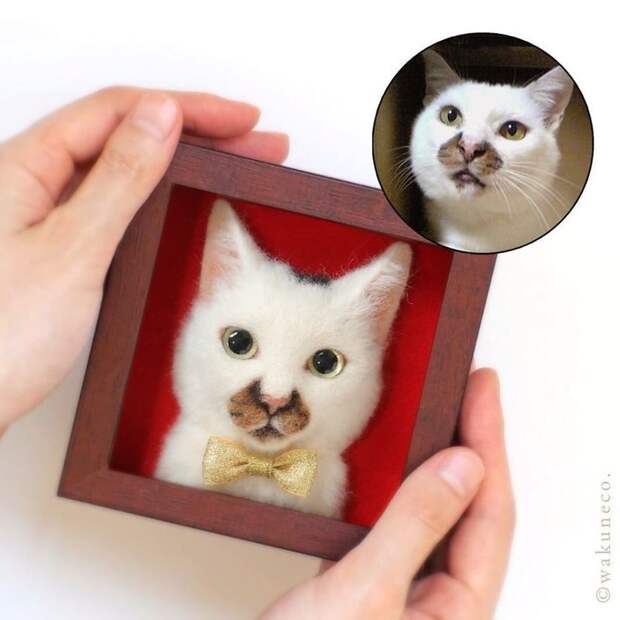 Художник из Японии делает из шерсти гиперреалистичные кошачьи портреты в мире, кошки, люди, портрет, своими руками, художник, шерсть, япония