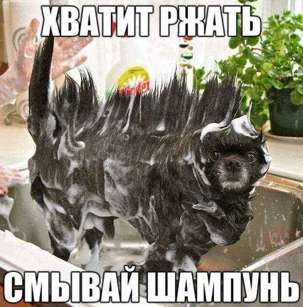 Приколы из соц сетей (25 фото)