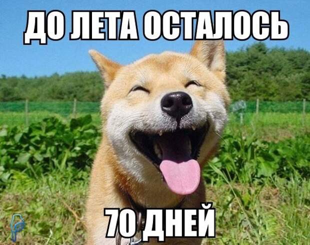 Картинки с Надписями 22.03.2016 Картинки с Надписями 22.03.2016 картинки, картинки с надписями, прикол, юмор