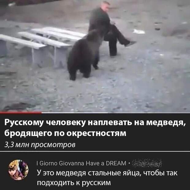kartinok-prikolnyh-podborka-kartinki-smeshnye-kartinki-fotoprikoly
