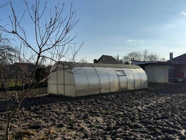 Поликарбонат — прошлый век: дачники поголовно переходят на материал, который не собирает грязь