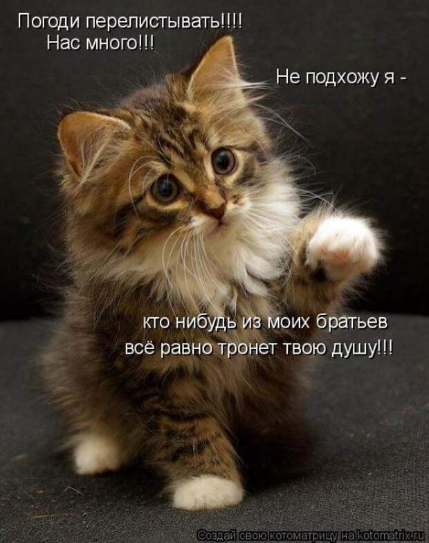 Мысли вслух :)
