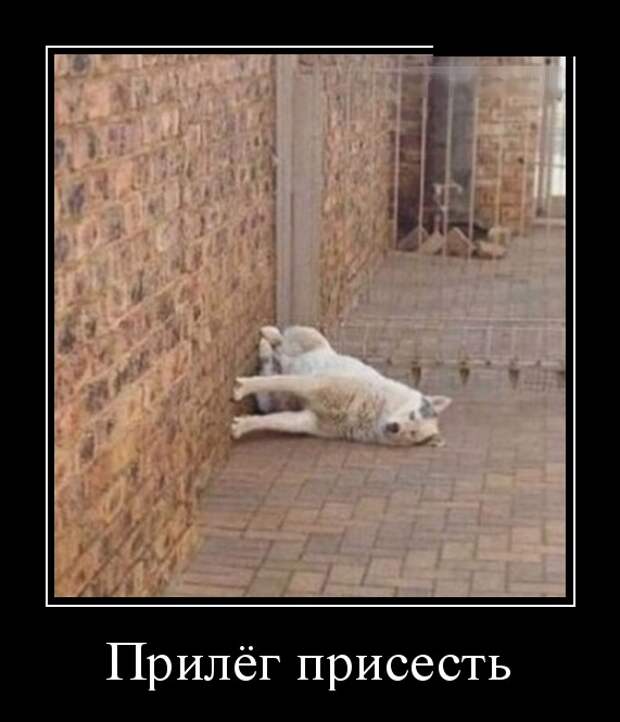 Демотиваторы (30 фото)