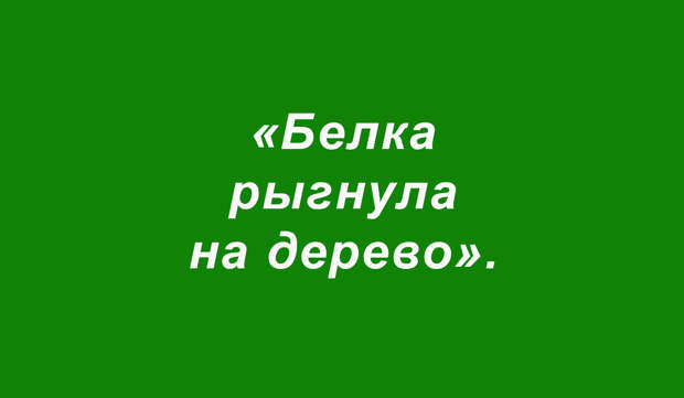 Перлы, перлы, перлы, перлы (подборка 10)