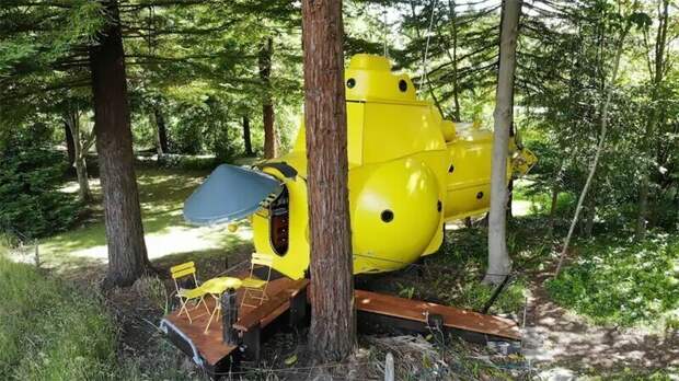 В новозеландском лесу выросла собственная Yellow Submarine В новозеландском лесу выросла собственная Yellow Submarine