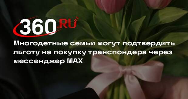 Минтранс и «Автодор» предложат скидку многодетным семьям на транспондер