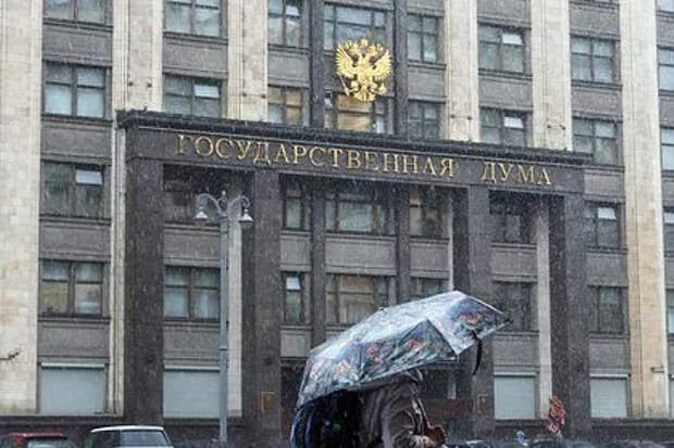 В Госдуме порассуждали о доносах за чайлдфри