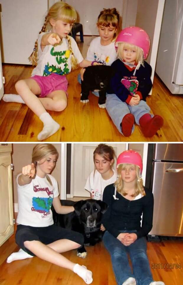 The Day We Got Our Puppy, And 11 Years Later The Day We Got Our Puppy, And 11 Years Later