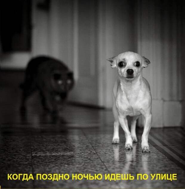 Фотоподборка вторника (55 фото)