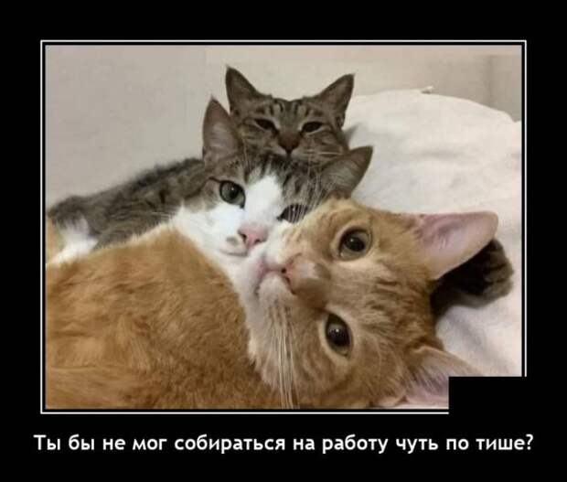Демотиваторы 23 апреля 2021
