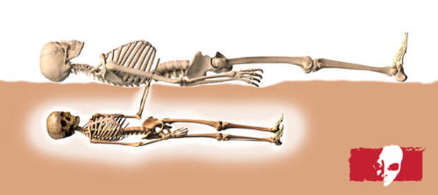 starchild skull skeleti