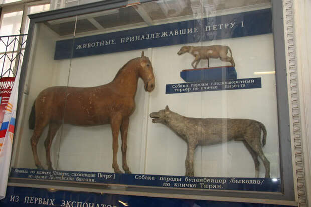 Четвероногие друзья русских монархов