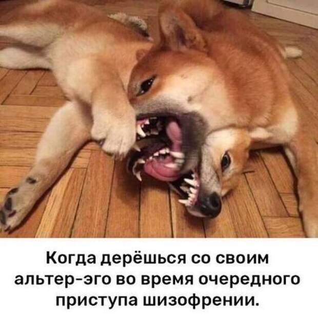 Прикольчики в стиле "Когда..." Прикольчики в стиле "Когда..."