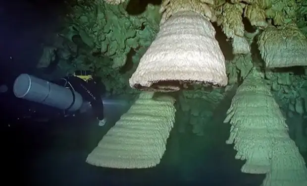 В подводной пещере в Мексике дайверы нашли висящие на потолке образования, похожие на огромные колокола. Видео