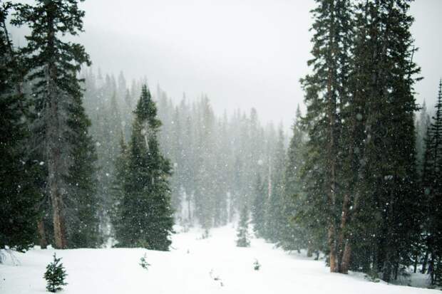 snow-1246175_1920 alt