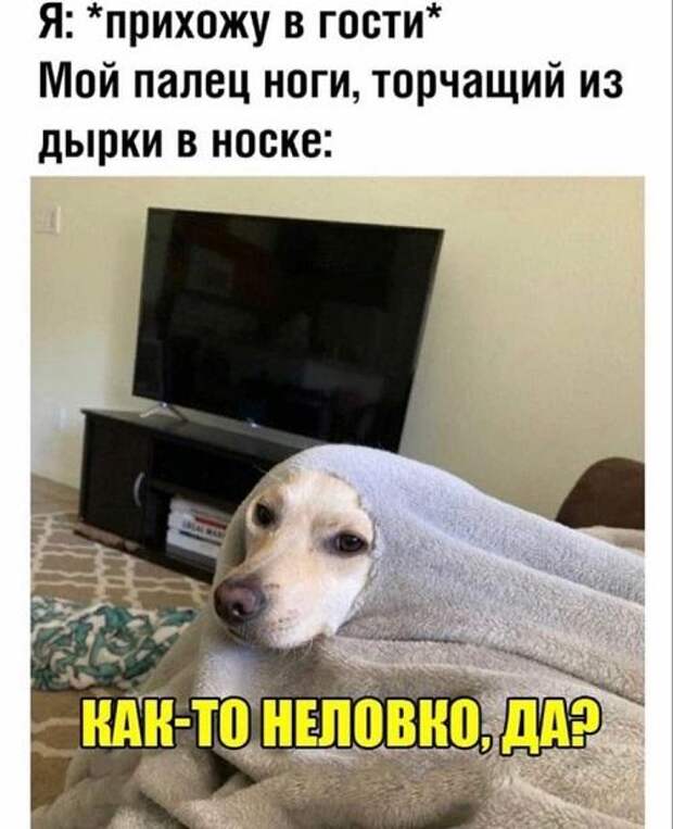Классные смешные картинки