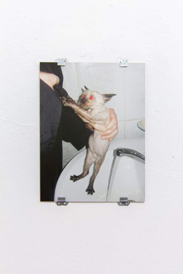 Выставка Карины Азизовой «Not your love song» в галерее «Марина»