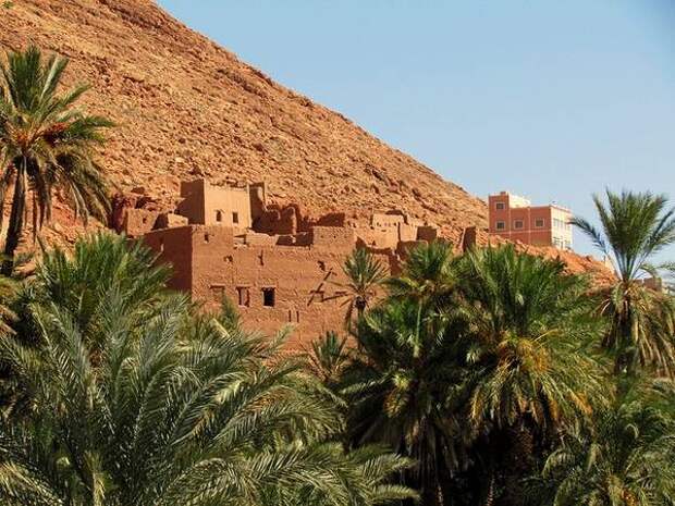 7 самых красивых оазисов мира (21 фото)