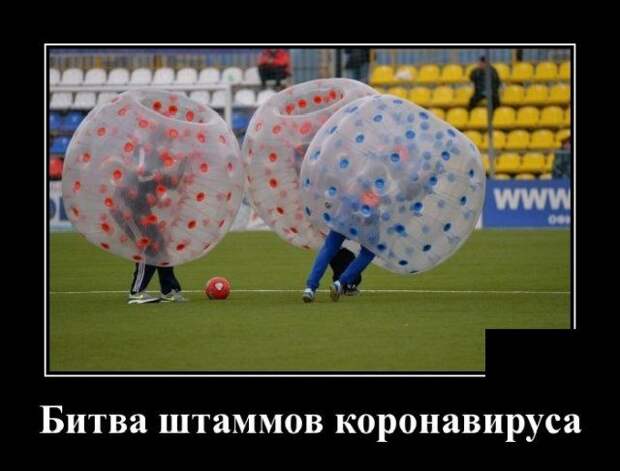 demotivatory-demotivator-smeshnye-demotivatory-demotivator-so-smyslom