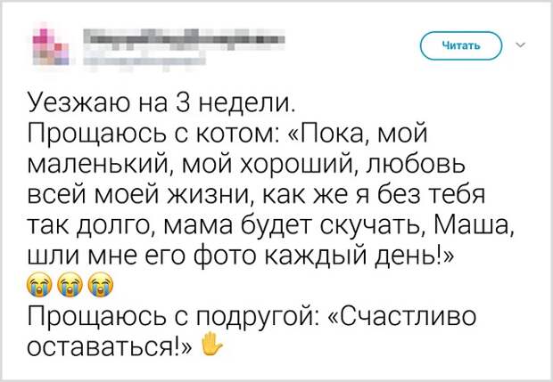 Подборка забавных твитов от девушек Подборка забавных твитов от девушек