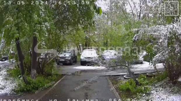 Когда придёт тепло: в Челябинске под тяжестью майского снега падают деревья