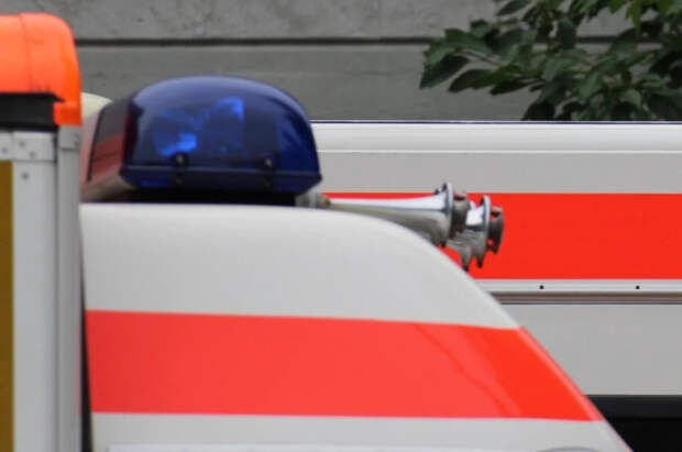 Брата экс-футболиста «Спартака» Видича нашли мертвым