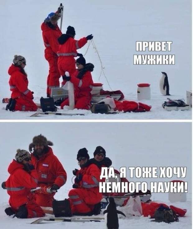 Прикольные картинки выходного дня (50 шт)