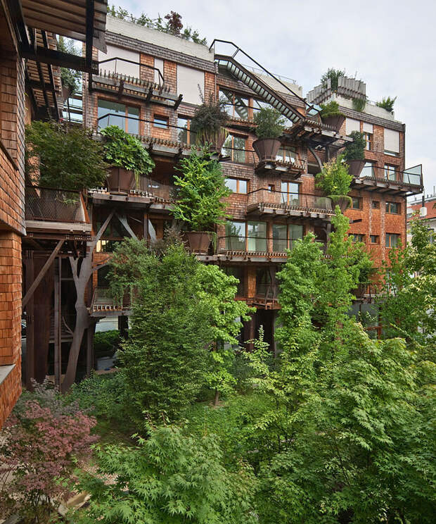 Уголок природы в городе: проект Urban Treehouse