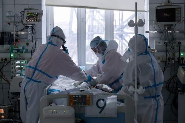 Администратор русской «Википедии» скончался от COVID-19