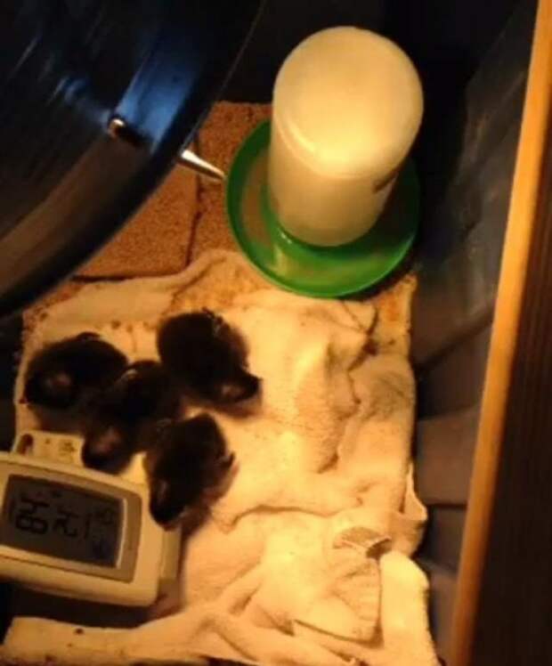 20 человек, которые прибыли к нам прямиком из будущего 20 человек, которые прибыли к нам прямиком из будущего