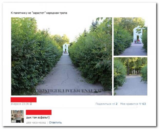 Картинки и мемы для настроения