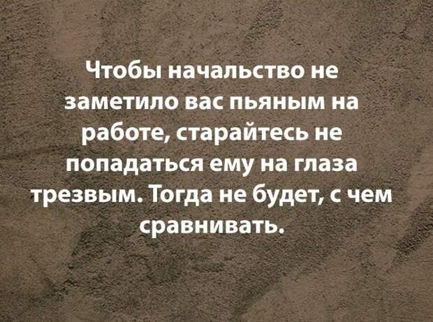 Смешные фразы и шутки про работу на картинках