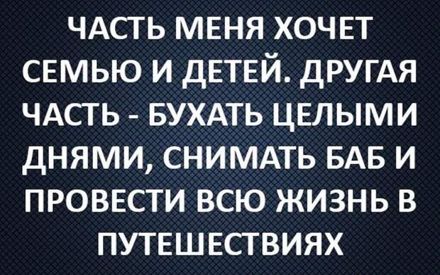 Фото приколы (46 фото)